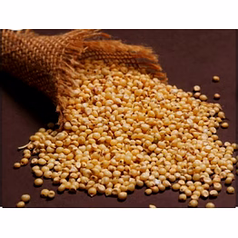 jowar