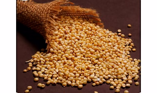 Jowar
