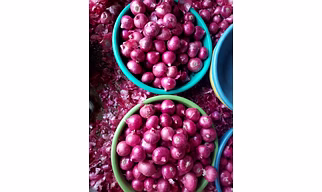 fresh onions