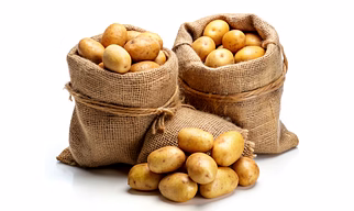 POTATO