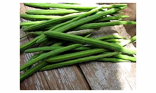 Fresh Drumsticks (Moringa Pods)