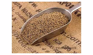 Organic Cumin Seeds