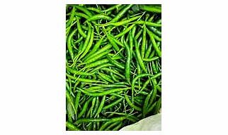Fresh Green Chilli