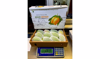 Mangoes