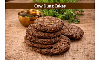 Cow Dung Cakes