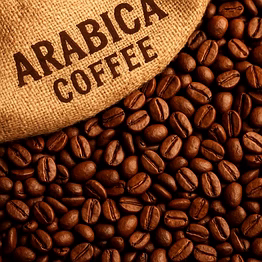 arabica coffee beans