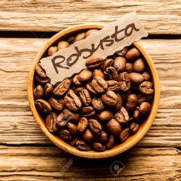 robusta coffee beans