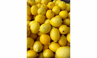 Lemon