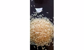 1718 golden sella basmati