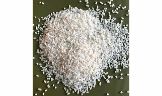 IR64 Indian rice