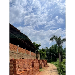 red bricks