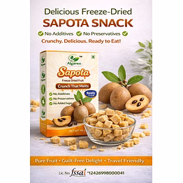 premium freeze-dried sapota slices with natural caramel sweetness for healthy snacking, smoothies and dessert toppings