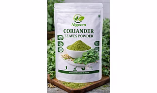 Coriander Leaves Powder