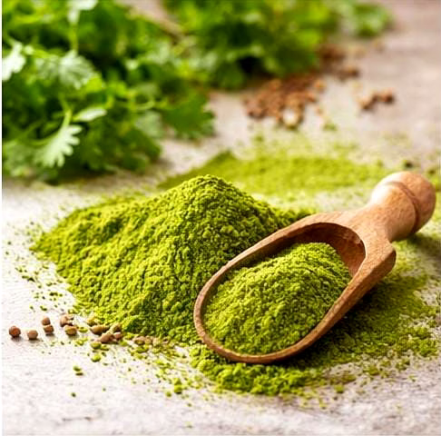 Moringa Leaves Powder image 3