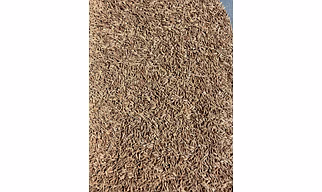 Cumin Seeds