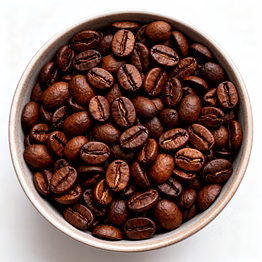 coffee arabica