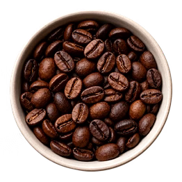 coffee robusta