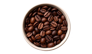 Coffee Robusta