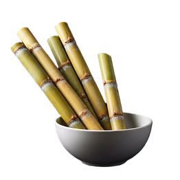 sugar cane