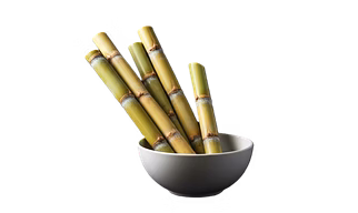 Sugar Cane