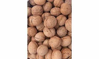 Kashmiri Walnuts