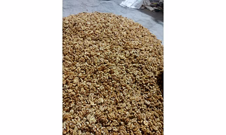 Kashmiri Walnuts kernal