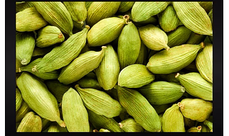 Cardamom 8mm+
