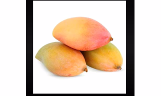 Totapuri Mango