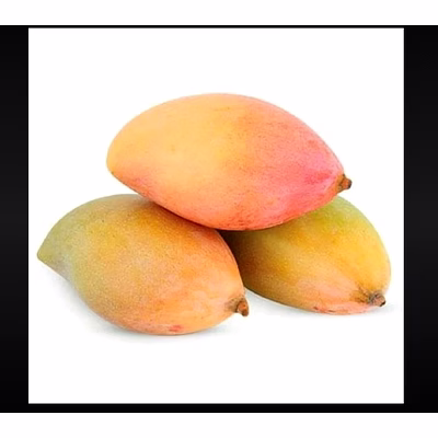 totapuri mango
