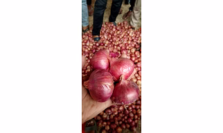 Onion