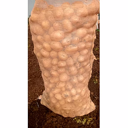 potatoes