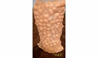 Potatoes