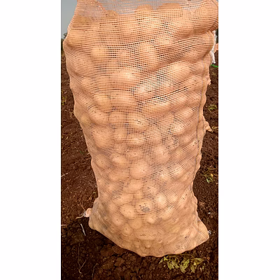 potatoes