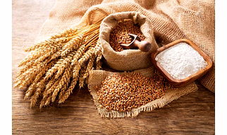 Wheat Flour Refined - Maida