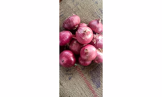 Red onion