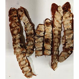 tamarind seedless