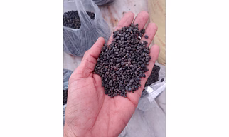 Dried Ker ( सूखे केर)