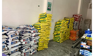 Cement