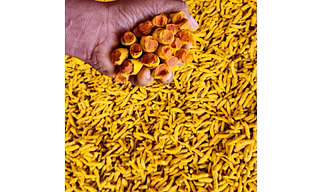 Turmeric finger