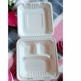 bagasse disposable tableware