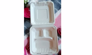 BAGASSE DISPOSABLE TABLEWARE