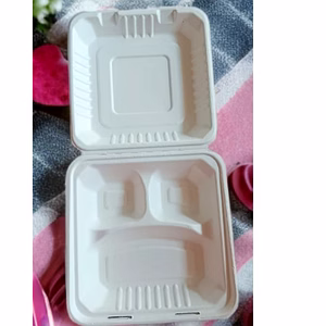 BAGASSE DISPOSABLE TABLEWARE