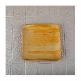 avyaja 9 inches round/square plate