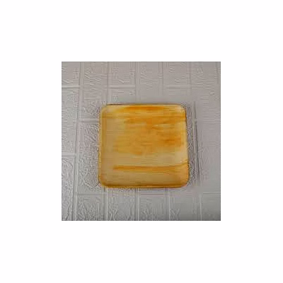 avyaja 9 inches round/square plate