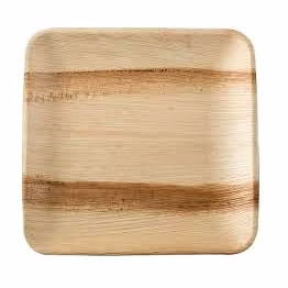 avyaja 10 inches round/square plate