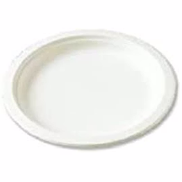 bagasse 5-inch plates - eco-friendly disposable serveware