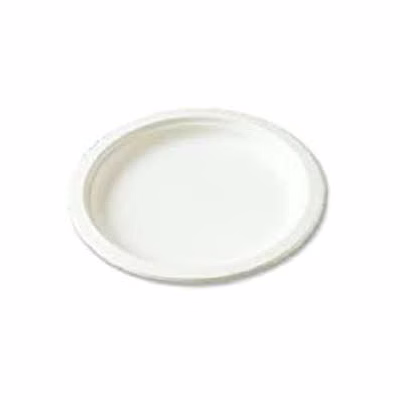 bagasse 5-inch plates - eco-friendly disposable serveware
