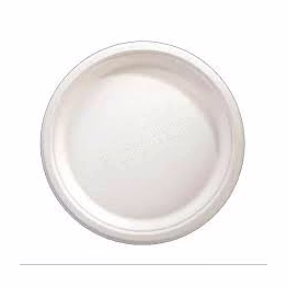 bagasse 10 inches disposable plates