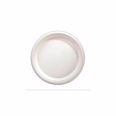 bagasse 10 inches disposable plates