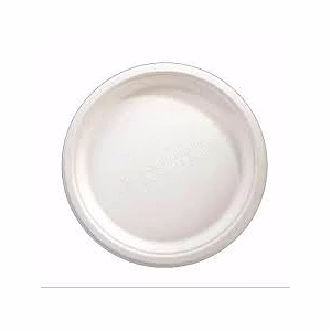 Bagasse 10 inches Disposable Plates